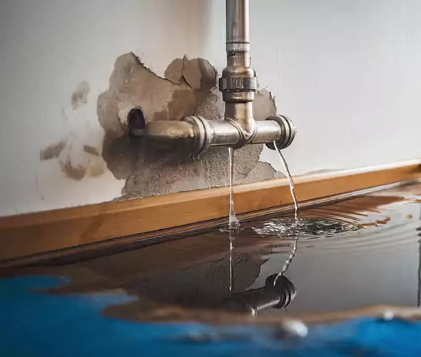 Professional Water Damage Restoration Experts in Dearborn, MI — Fast, Reliable & Certified