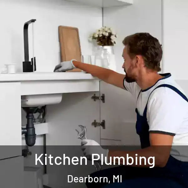  Kitchen Plumbing Dearborn, MI
