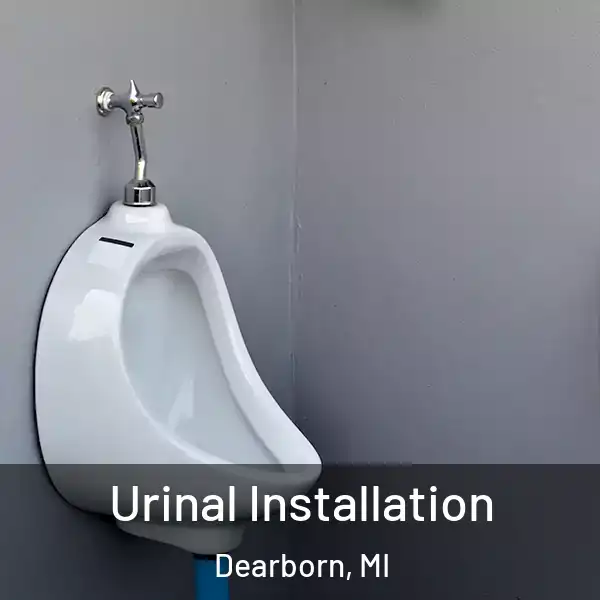 Urinal Installation Dearborn, MI