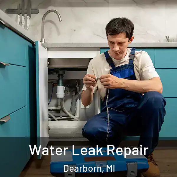  Water Leak Repair Dearborn, MI